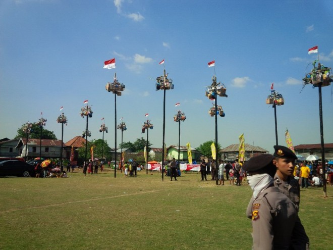 19 batang pinang di Pulau Pandan